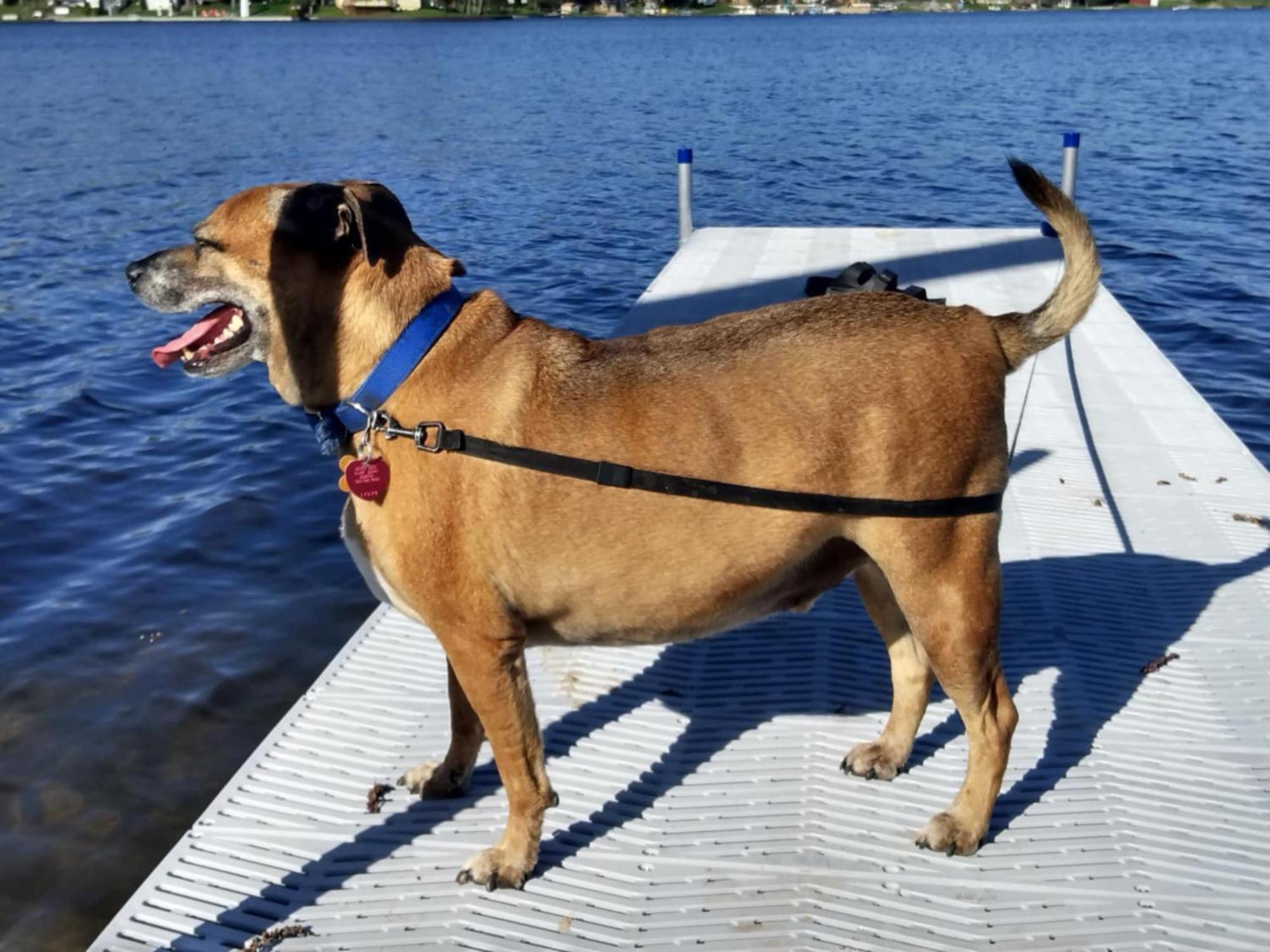 Lake Paradise Εξωτερικό φωτογραφία